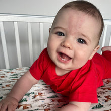 Load image into Gallery viewer, christmas collection cotbed/toddler bed sheet

